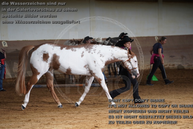 s_A_900485.JPG